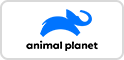 ANIMAL PLANET
